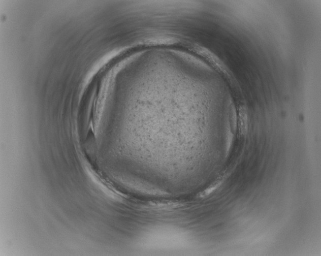 X0000071780726200607282237