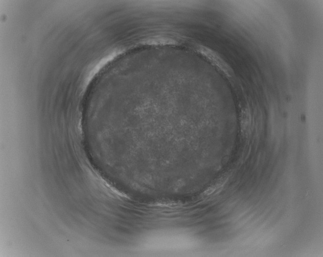 X0000071780727200607282237