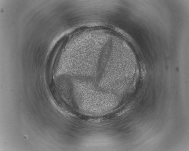 X0000071780728200607282237