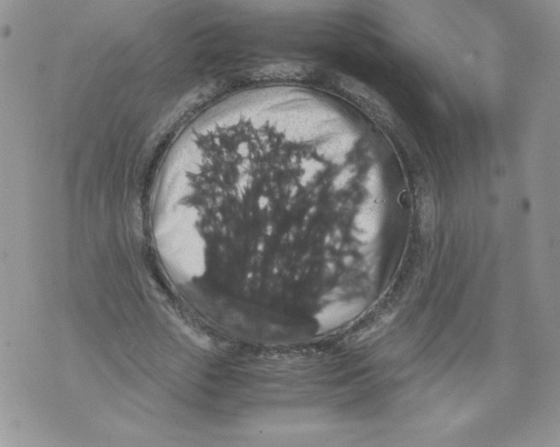 X0000071780729200607282237