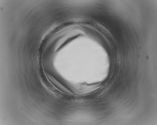 X0000071780730200607282237