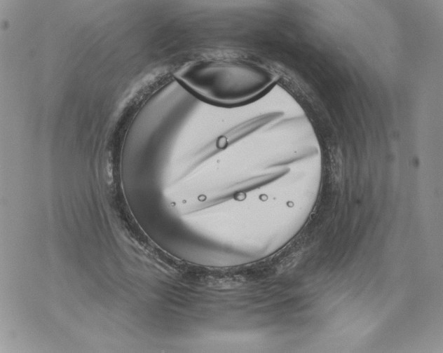 X0000071780731200607282237