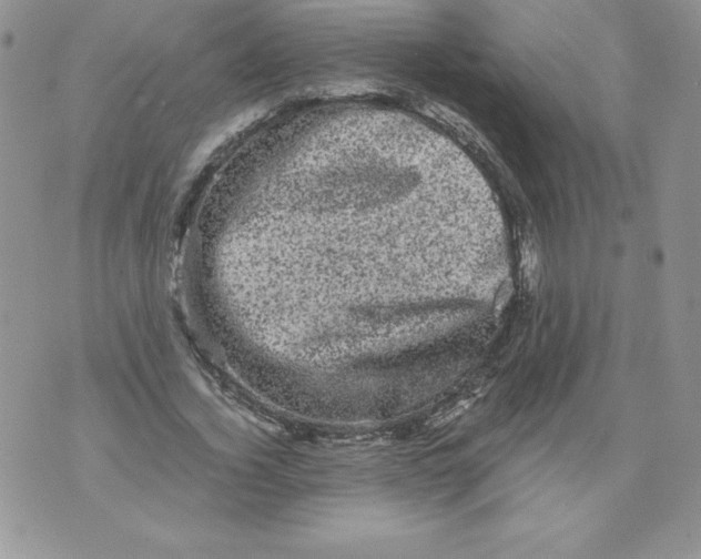 X0000071780732200607282237