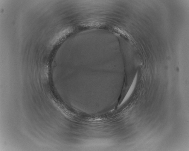 X0000071780735200607282237