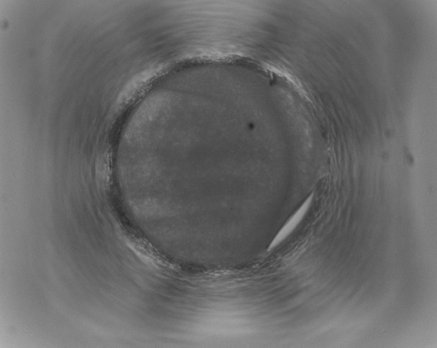 X0000071780736200607282237