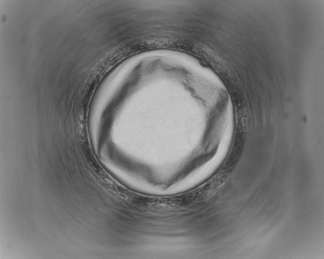 X0000071780737200607282237