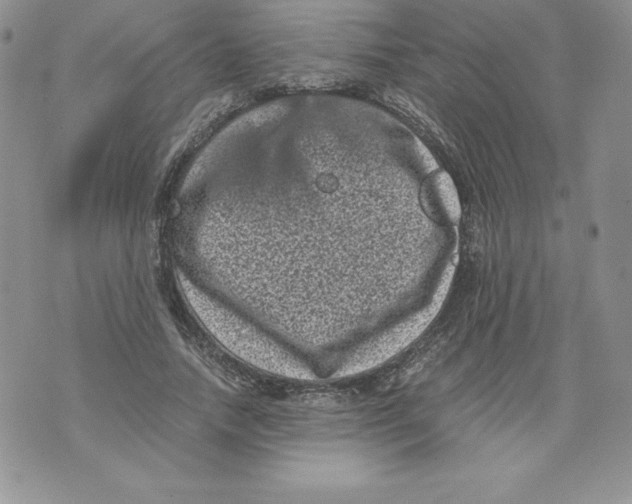 X0000071780738200607282237