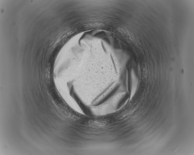 X0000071780739200607282237