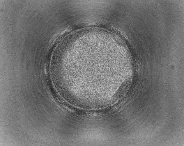 X0000071780740200607282237