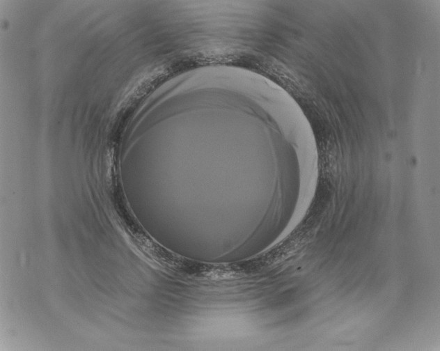 X0000071780742200607282237