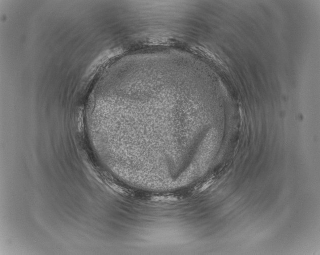 X0000071780744200607282237