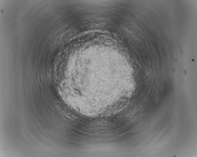 X0000071780745200607282237