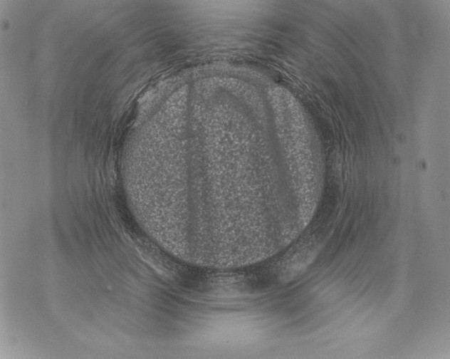 X0000071780746200607282237