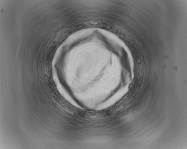 X0000071780749200607282237