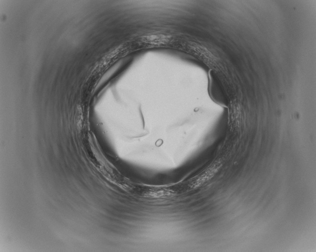 X0000071780752200607282238