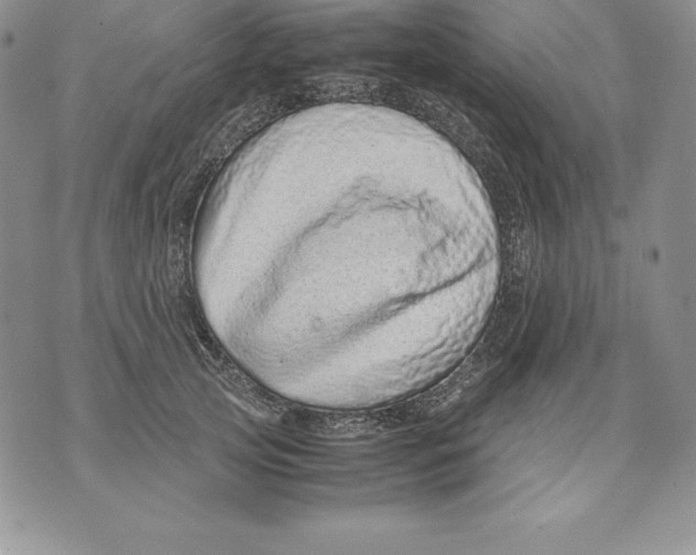 X0000071780753200607282238