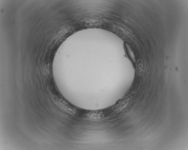 X0000071780756200607282238