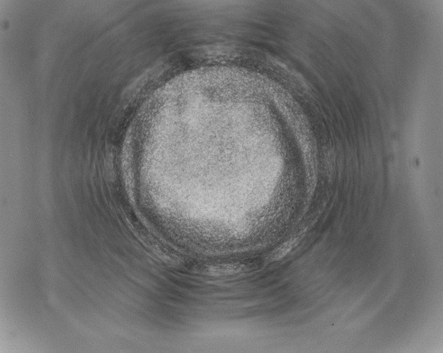 X0000071780757200607282238