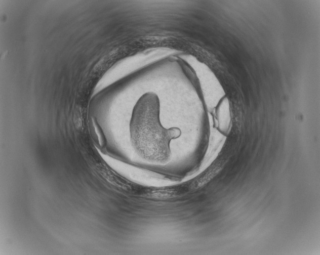 X0000071780758200607282238