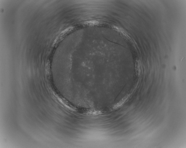 X0000071780760200607282238