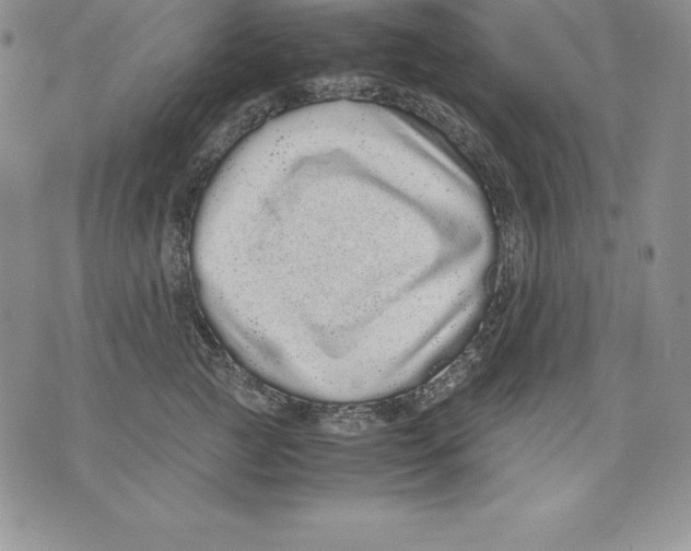 X0000071780761200607282238