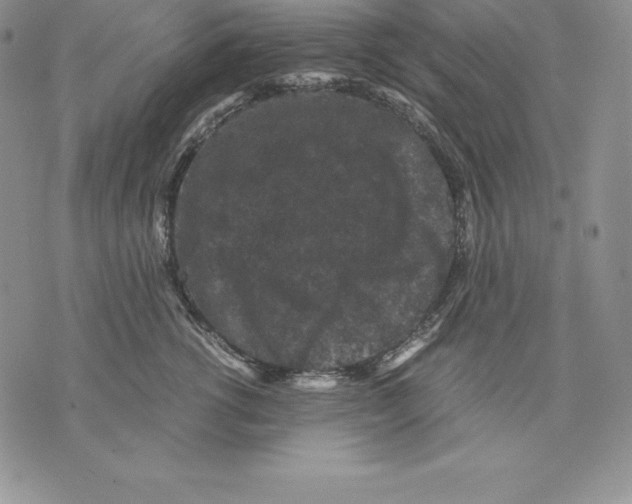 X0000071780762200607282238