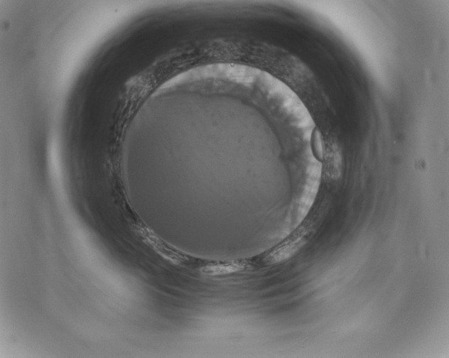 X0000071780765200607282238