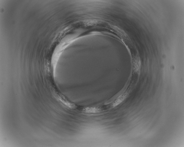 X0000071780766200607282238