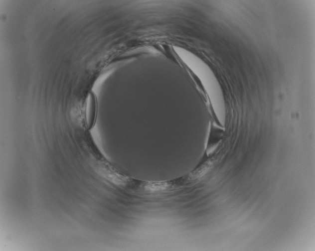 X0000071780767200607282238