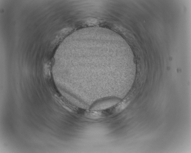 X0000071780768200607282238