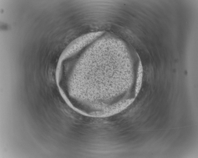 X0000071780770200607282237