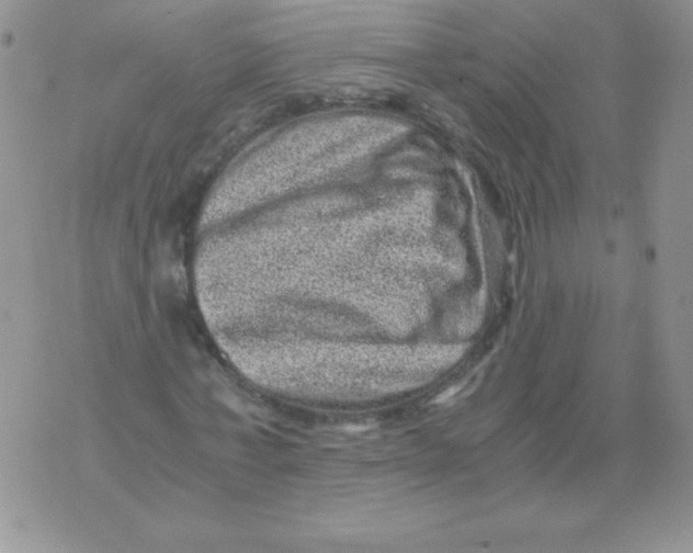 X0000071780771200607282237