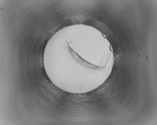 X0000071780772200607282237