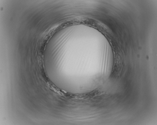 X0000071780773200607282237