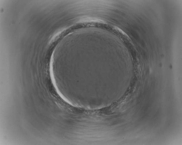 X0000071780775200607282237