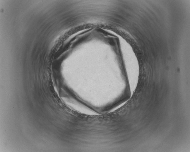 X0000071780776200607282237