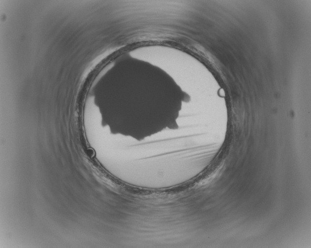 X0000071780779200607282237