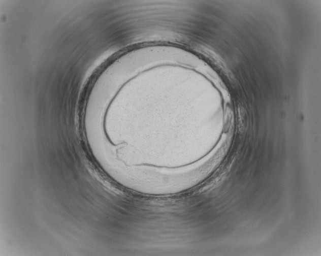 X0000071780780200607282237