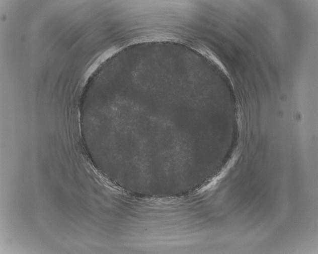 X0000071780781200607282237