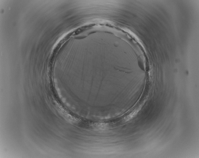 X0000071780783200607282237