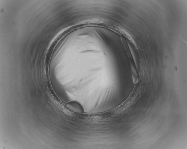 X0000071780784200607282237