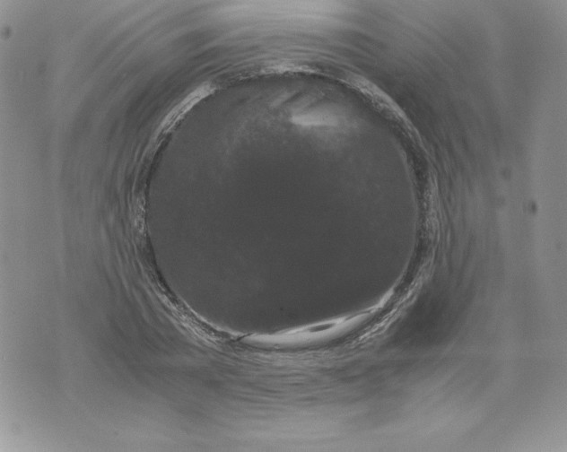 X0000071780785200607282237