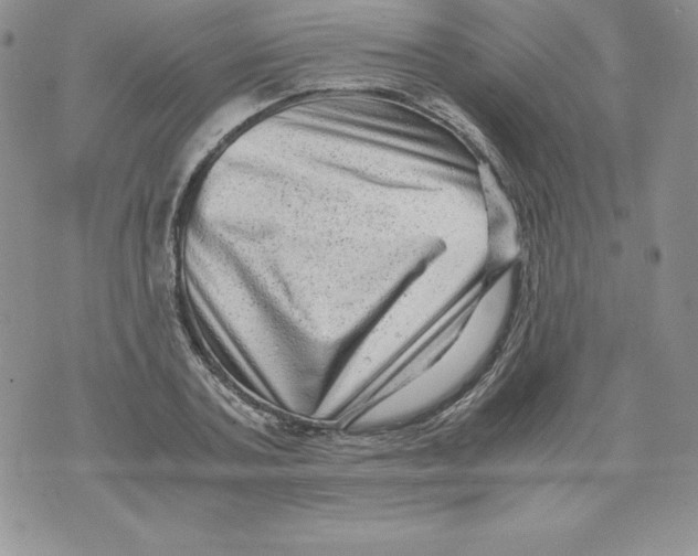 X0000071780787200607282237