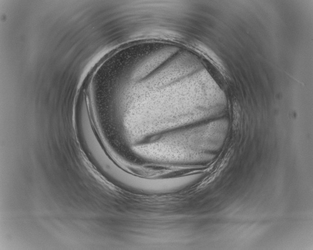 X0000071780788200607282237