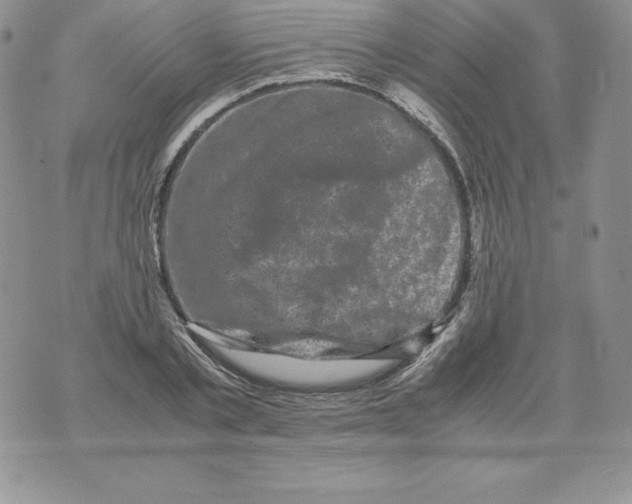 X0000071780789200607282237