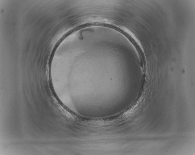 X0000071780791200607282237