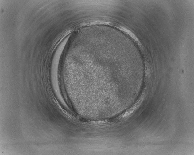 X0000071780793200607282237