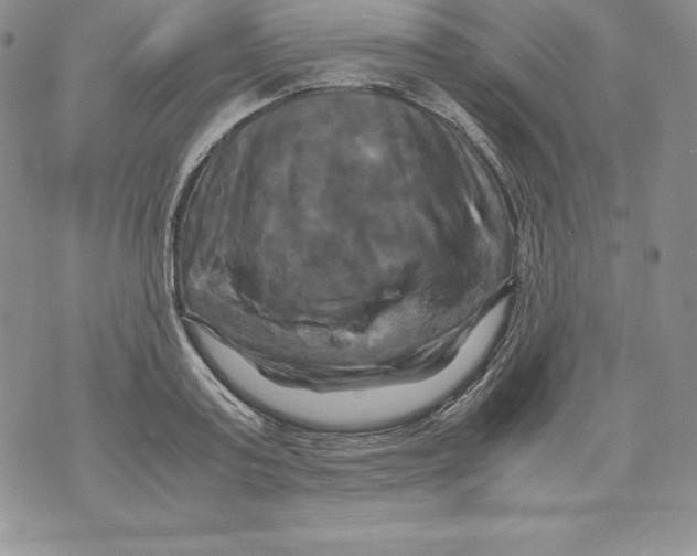 X0000071780795200607282237