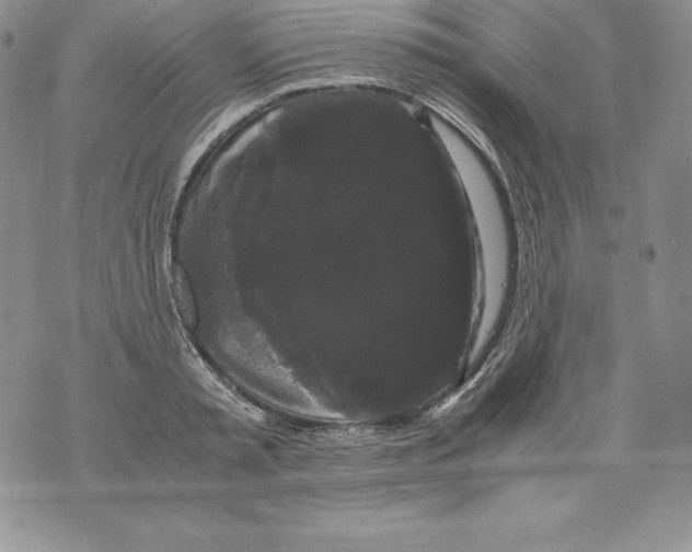 X0000071780797200607282237