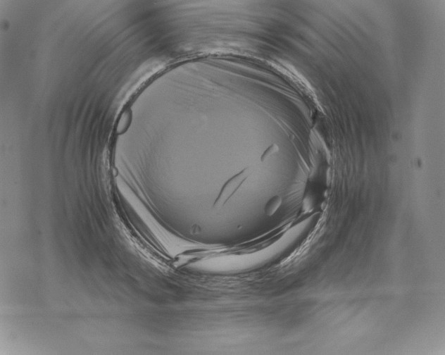 X0000071780798200607282237